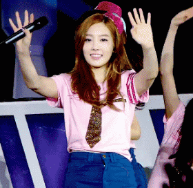 Tayle泰勒软骨鼻