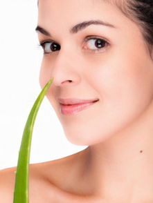 假体隆鼻的材料