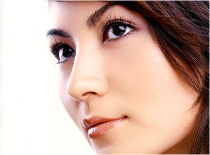 美鼻的美学维度