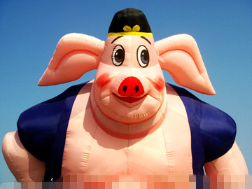 女子自认鼻子比猪八戒还丑 原是体像障碍作祟