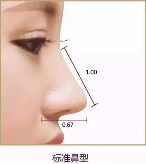 全鼻整形手术效果，硅胶隆鼻，注射隆鼻，假体隆鼻，隆鼻的方法，膨体隆鼻，自体软骨隆鼻，