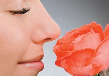 假体隆鼻能保持多久