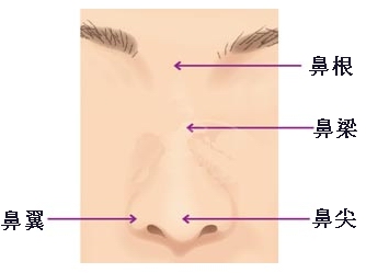 隆鼻前要了解的鼻部构造图1
